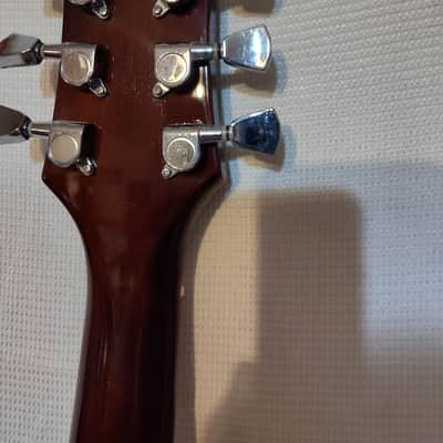 Jay Turser JT50 Set Neck Very Solid Guitar image 12