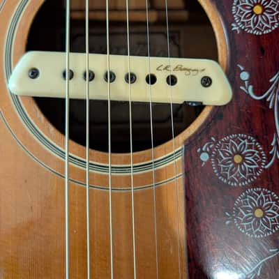 D'Agostino J2 Jumbo Acoustic Electric Guitar image 2