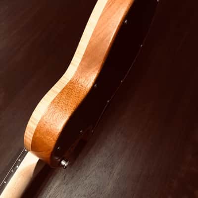 Rocca 3 Carved Top Semi-Hollow Headless Guitar image 6