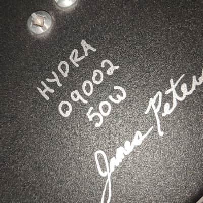 Peters Amplification Halo/Hydra 50 watt head 2009 image 6