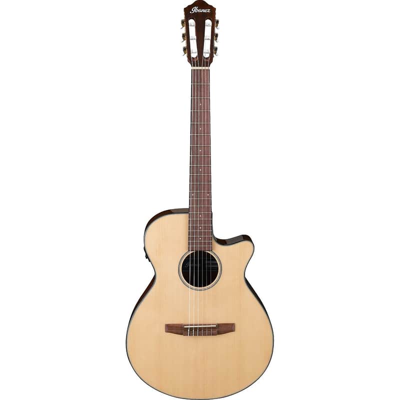 Ibanez AEG50N image 1