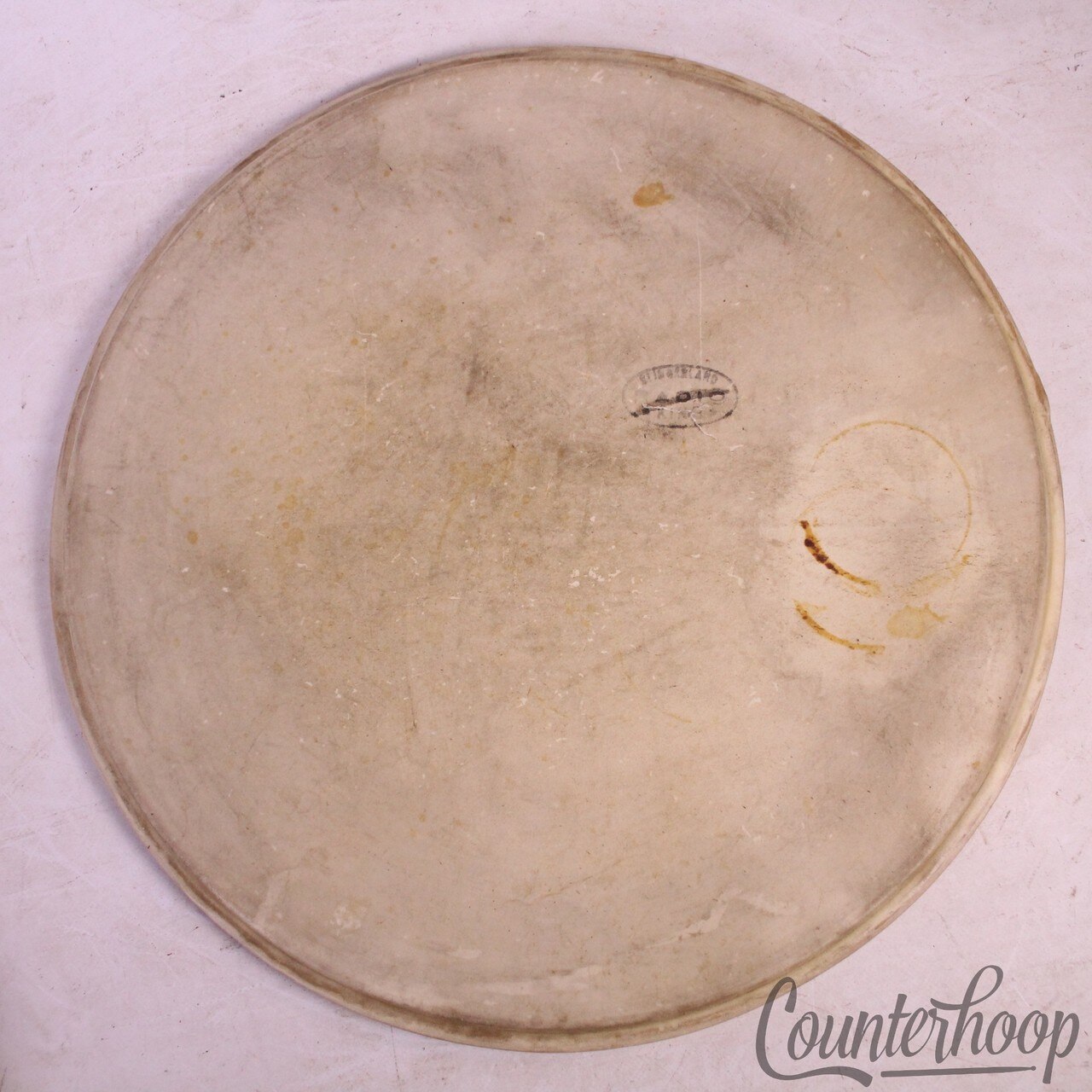 Slingerland Radio King 14" Snare/Tom Calf Skin Drum Head Batter/Resonant 50s USA — main photograph