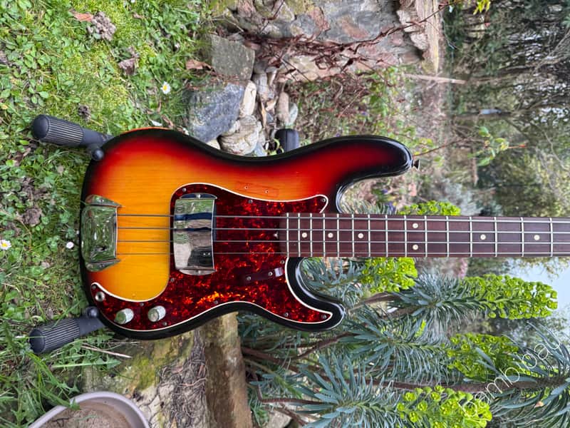 1972 Fender Precision Bass - Sunburst - Special Rosewood Neck - OHSC image 1