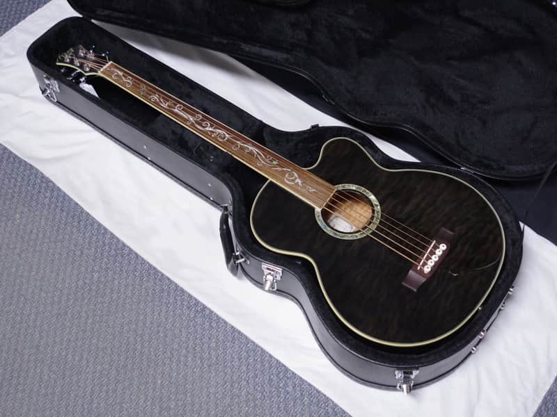 MICHAEL KELLY Dragonfly 5-string FRETLESS acoustic electric BASS guitar Trans Black w/Case - Used image 1