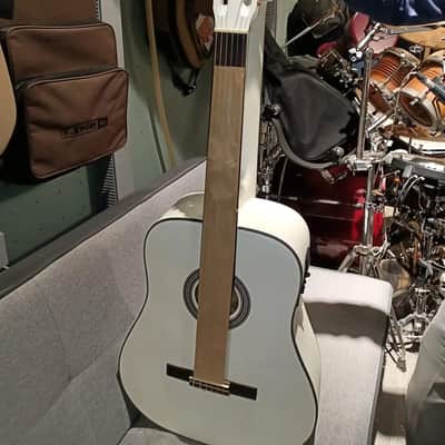 6 String Fretless Classical/ 12 String Acoustic Electric Double Sided Busuyi Double Neck Guitar 2022 + Case image 1
