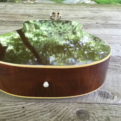 Levin 114 1962 Flamed Maple image 7