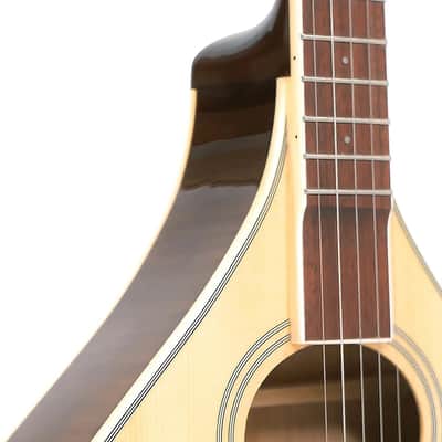 Gold Tone Banjola+ S Solid Spruce Top Woodbody Banjo with Scoop, Pickup & Hard Case image 6