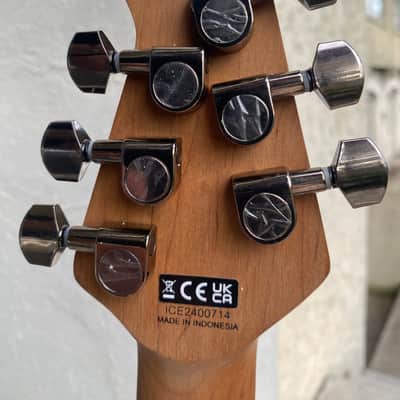 EVH Wolfgang WG Exotic Zebrawood 2022 - Present - Zebrawood Natural image 4
