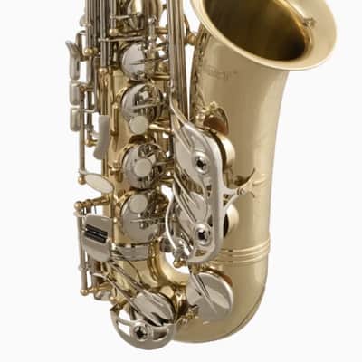 Selmer SAS301 Student Alto Saxophone - Lacquer image 4