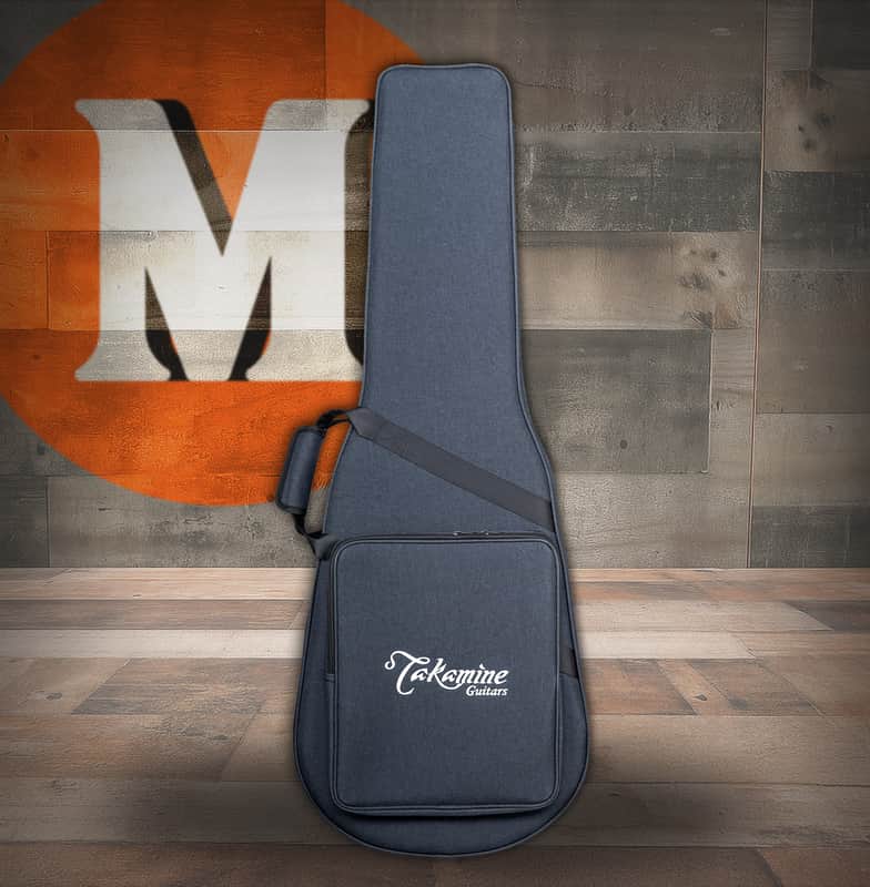 Takamine SH300A Semi Hard Case Classical (CTAKSH300A) image 1