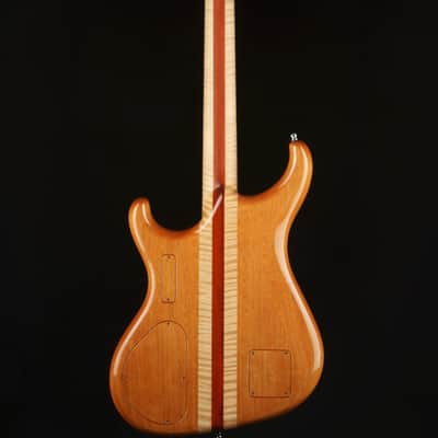 Alembic Spectrum - Cocobolo Top with Mahogany Body - Blue and Red Side LEDs - Guitar with Hard Shell Case image 5