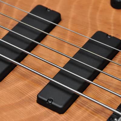 Fodera Monarch Std Special Doctorbass Edition Bird's eye Maple 5 string 19mm spacing - Figured Redwood top image 7