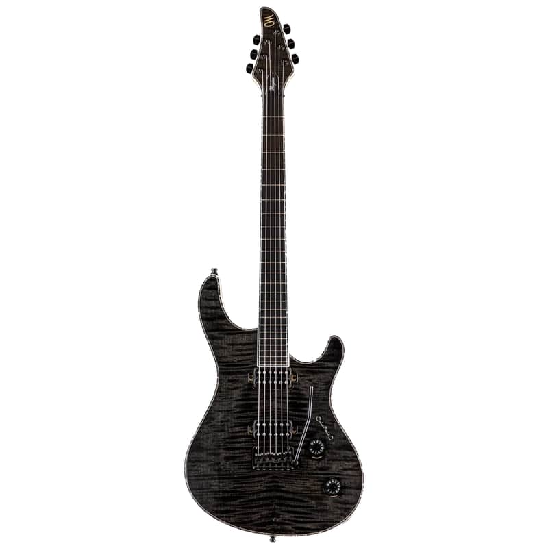 Mayones Regius V24 6 image 1