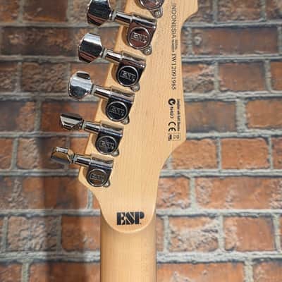 ESP LTD XJ-6 2013 - 2014 - See Thru Blue image 15