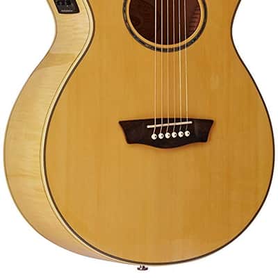 Washburn EA20 Festival Series Florentine Cutaway Flame Maple Top 6-String Acoustic-Electric Guitar image 3