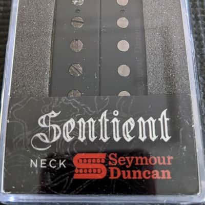 Seymour Duncan Sentient (n) 2024 - Black image 1