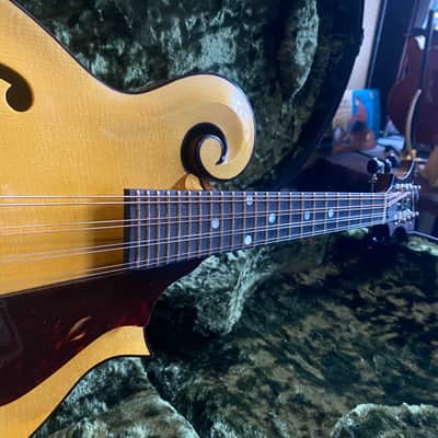 Dudenbostel 1-F Mandolin (Only One Made!) 2021 image 3