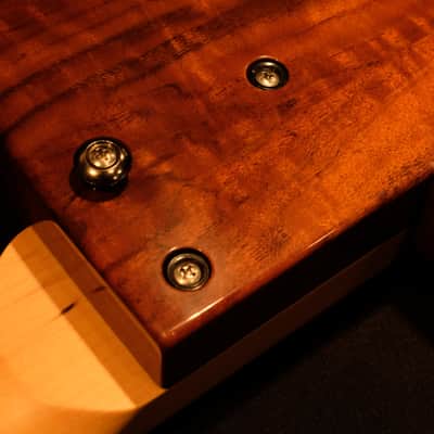 Rick Turner Renaissance  5 String Acoustic Electric Fretless Bass (RB 5-FL) Cherry Sunburst image 10