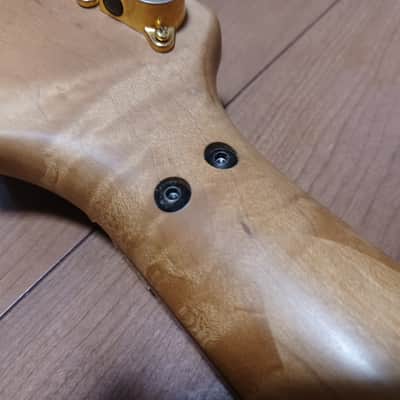 Ibanez RG 1994 Fujigen Made In Japan Takeuchi Floyd Prestige HSH image 13