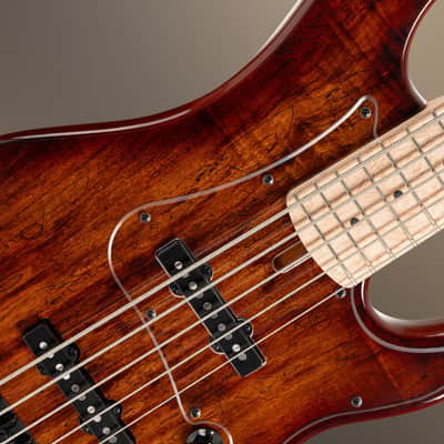 Cort GB-FUSION 5 | 5-String Active J-Style Bass Guitar. New with Full Warranty! image 9