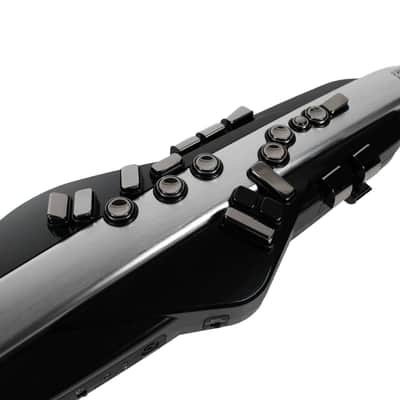 Immagine Roland AE-30 AEROPHONE PRO - 6