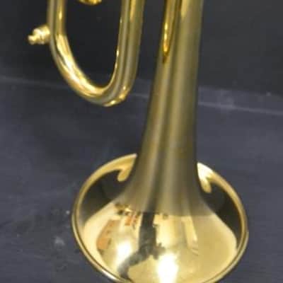 Trompeta Sib Stomvi Master Titanium muy buen estado. image 16