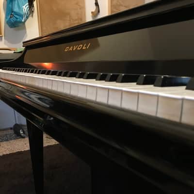 Davoli Piano C 77 “Baby Grand Piano” FULL RESTORED image 3