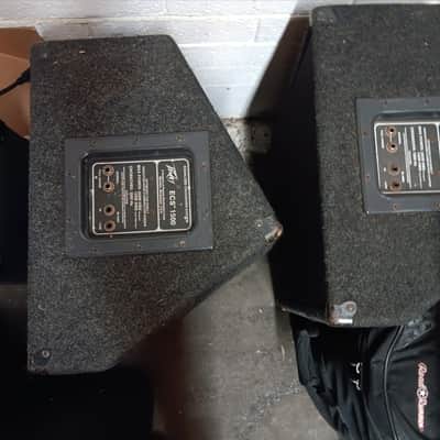 EV series ll 15B and Peavey ECS1500 PA cabs image 2
