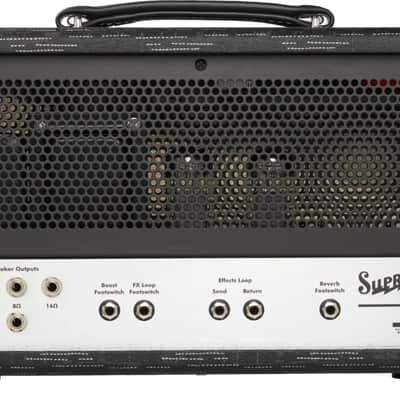 Immagine Supro Amplification Royale Head - 6