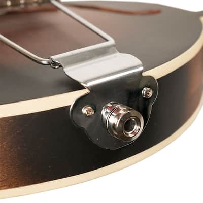Gold Tone F-Style 6-String Acoustic Electric Mandolin-Guitar w/ Hard Case image 5