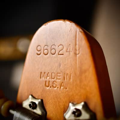 Gibson Marauder M-1 Natural 1975 image 9