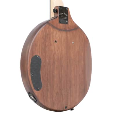 Gold Tone EB-5 Solid Body Mahogany Top Maple Neck 5-String Electric Banjo with Hard Case image 5