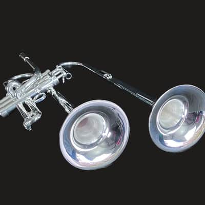 BERKELEY Raw Brass STD Eb/D Trumpet w/ Extra Silver D Bell 2019ish - SILVER PLATED image 22