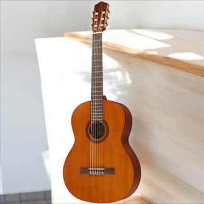 BRAND NEW Cordoba C5 Solid Cedar Top Acoustic Nylon-String Classical Guitar 2025 - cedar image 4