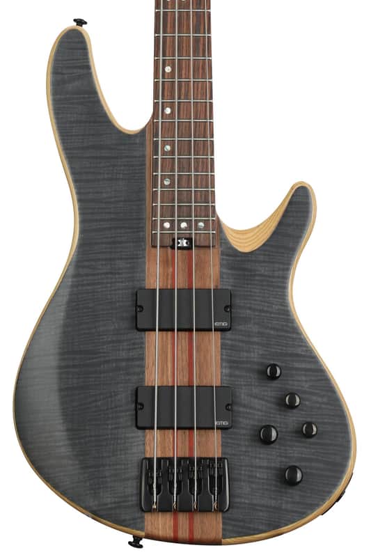 Schecter Charles Berthoud CB-4 Bass Guitar - See-thru Black Satin image 1