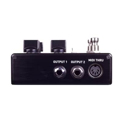 Source Audio Encounter Ambient Delay & Reverb image 3