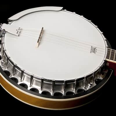 Washburn B9 Series 5-String Banjo image 7