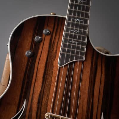 2007 Taylor T5-C2 Limited Macassar Ebony Top image 10