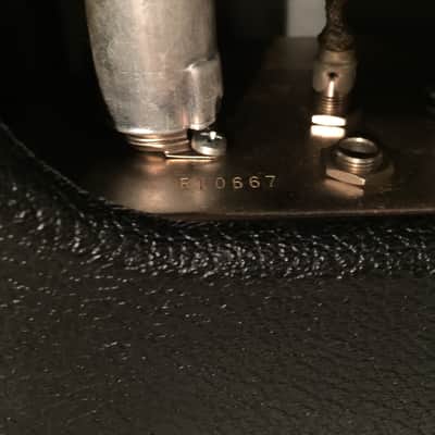 Fender Reverb Tube Type 1966 Black & White image 5