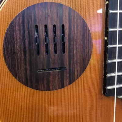 Gibson Chet Atkins Ren Ferguson SST Nylon String Acoustic Electric with Case - Pre Owned image 6
