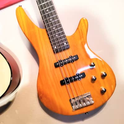 Jay Turser 5 String Bass Transparent Blue | Reverb