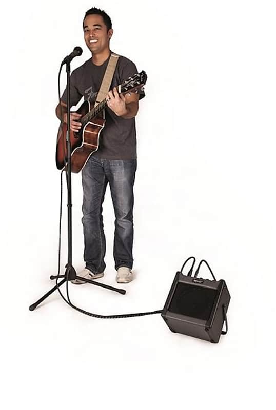 Fender Passport Mini image 2