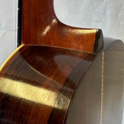 Washburn 1897 Style New Model -1890's image 7