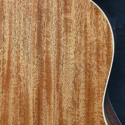 Taylor Gold Label 517e SB Mahogany / Torrified Spruce Acoustic-Electric Guitar image 20