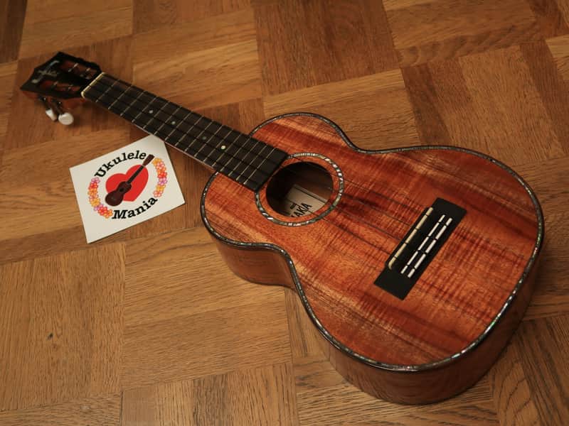 Kamaka HF 2D2I 100 Custom Slot head Concert Ukulele with Paua Shell Binding #3217 2016 Gloss Finish image 1