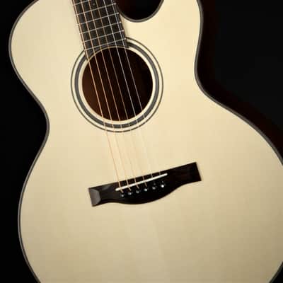 ON HOLD - Santa Cruz FS (Fingerstyle) MC Custom image 13