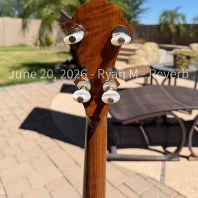 Stelling Staghorn 1989 - Walnut image 6