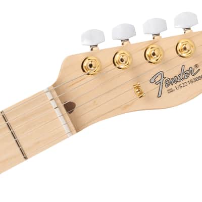 Fender James Burton Telecaster Maple Fingerboard, Red Paisley Flames image 6