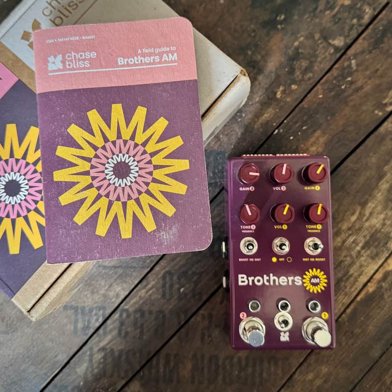 Chase Bliss Audio Brothers AM