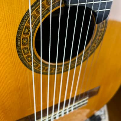 Asturias A18-11 11 String Altoguitar Alto Guitar image 3